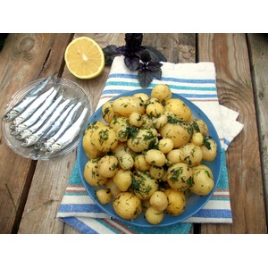 ������� ��������� � �������-������� ������