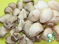 ������� ������� �� ����� �����������