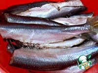 ������ � ��������� �������� �����������