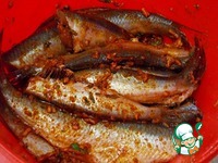 ������ � ��������� �������� �����������