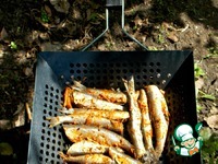 ������ � ��������� �������� �����������