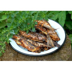 ������ � ��������� ��������