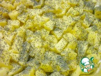 �������-������� ����� �����������