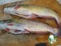 ������������ ������������ ���� �� ����� �����������