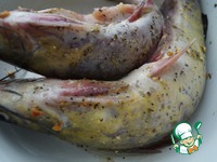 ������������ ������������ ���� �� ����� �����������