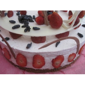 ���� "���������-����������"