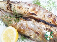 ������������ ������������ ���� �� ����� �����������