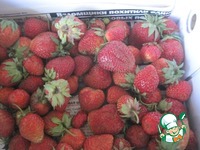 ���� "���������-����������" �����������