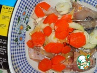 ���� �� ���������-����� �����������