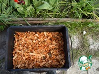 �������� �������� ���� �����������