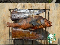 �������� �������� ���� �����������