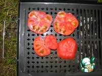 ����� � �������� ���������� �����������