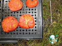 ����� � �������� ���������� �����������