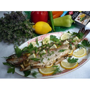 �������� ������ �� �����