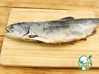 ���� �� ���������� ������� �����������