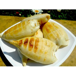 ��������-�����