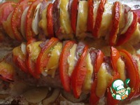 ���� "��������" � ���������� � ����� �����������