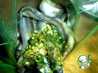 ����� �� ������ �����������