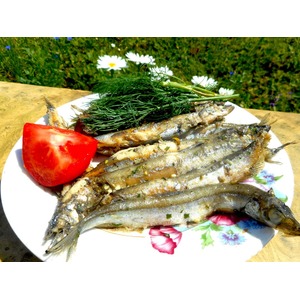 ����� �� ������