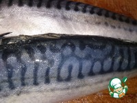 ��������-������� � ������ �����������