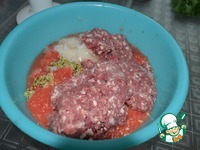 ������ � ������ �������� �����������