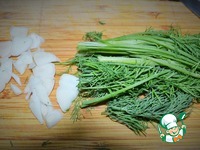 ��������� � �������� �����������