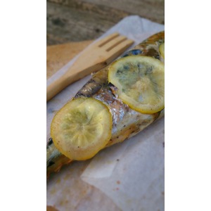 ��������-������� � ������