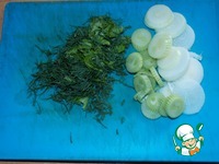 ����, ���������� � ������� �����������