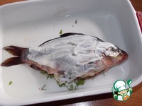 ����, ���������� � ������� �����������