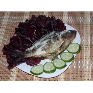 ����, ���������� � �������