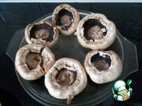 ������������� ���������� � ������������� �����������