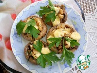 ������������� ���������� � ������������� �����������