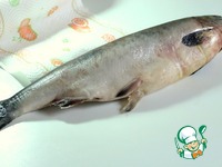 ����������� ������� ���� "���������" �����������