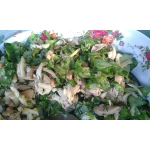 ����� "�������"