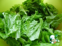 ����� � ������� � ������� �����������