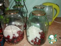 ������ "��� ������" �����������