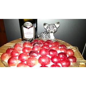 ����� "��������"