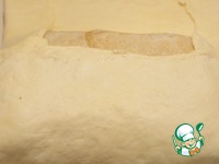 �������� �� ������ ���� "������������" �����������