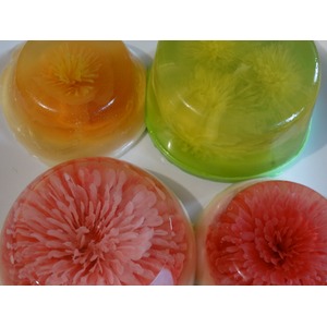 ������ "��������"