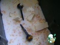 �������� ��������-������������ �����������