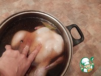 ������ � ������� � �������� �����������