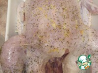 ������ � ������� � �������� �����������