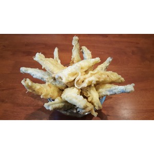 ������� � �������� �����