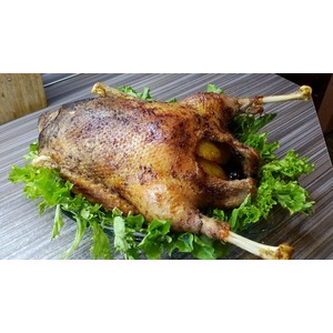 ������ ����