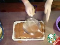 �������� �����������