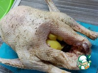 ������ ���� �����������