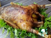 ������ ���� �����������