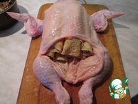 ������, ������������� ���������� �����������