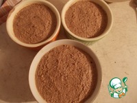 ���������-��������� ������ � ���� �����������