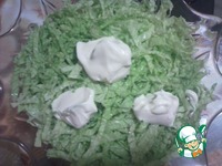 ����� "�����������" � �������� �����������